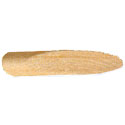 Solid Wood Plugs