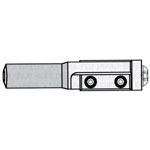 Two Flute Flush Trim Bit